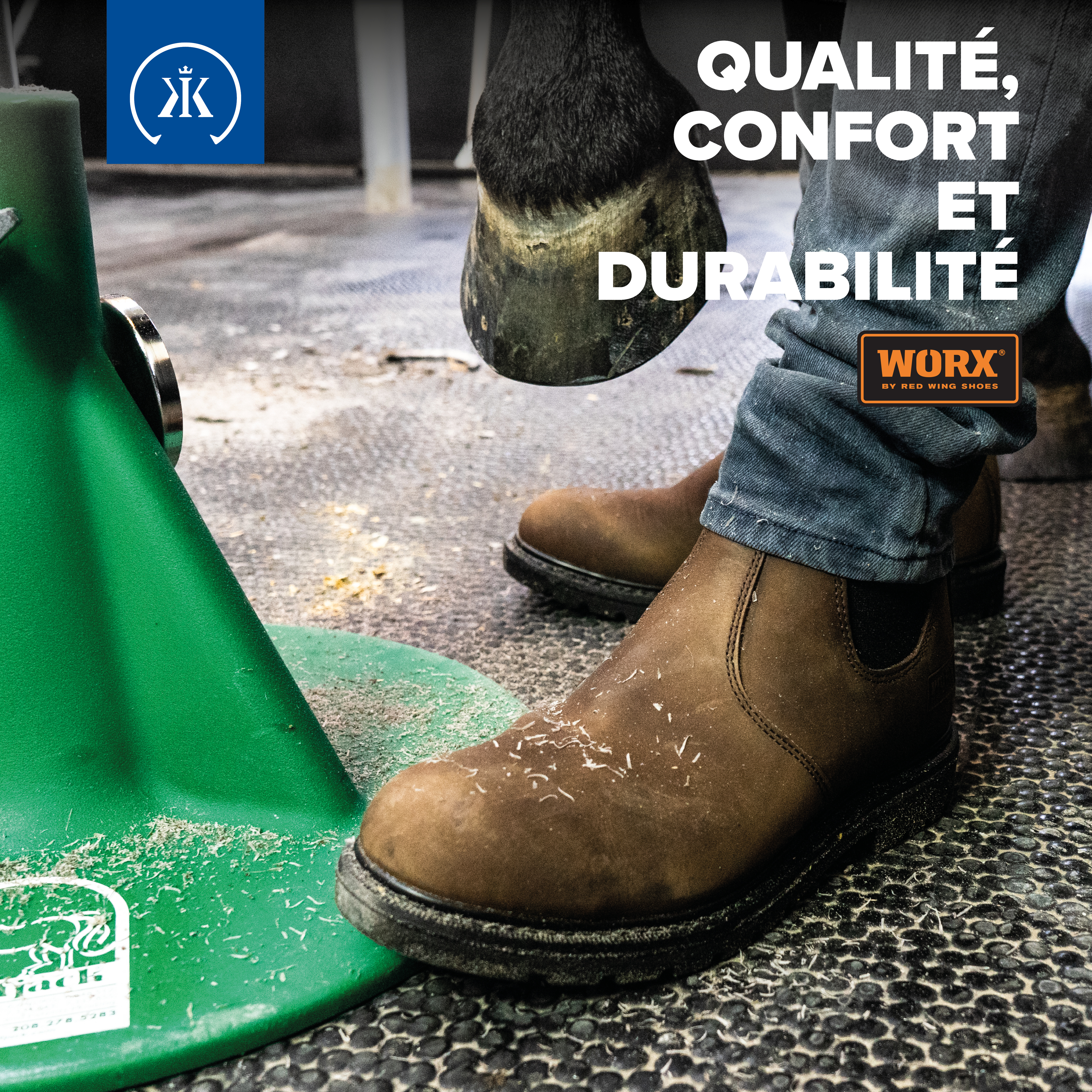 200123-Redwing-FB 2-FR.jpg